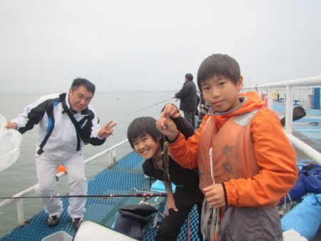 オリジナルメーカー海づり公園(市原市海づり施設) 釣果