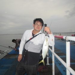 オリジナルメーカー海づり公園(市原市海づり施設) 釣果