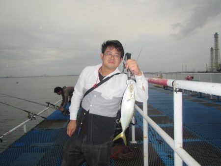 オリジナルメーカー海づり公園(市原市海づり施設) 釣果