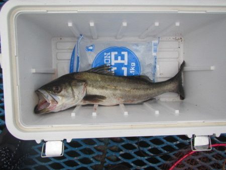オリジナルメーカー海づり公園(市原市海づり…