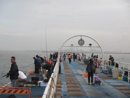 オリジナルメーカー海づり公園(市原市海づり施設) 釣果