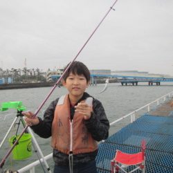 オリジナルメーカー海づり公園(市原市海づり施設) 釣果