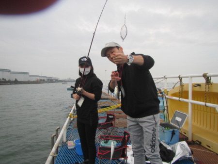 オリジナルメーカー海づり公園(市原市海づり施設) 釣果