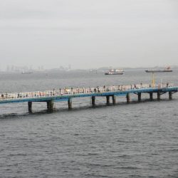 オリジナルメーカー海づり公園(市原市海づり施設) 釣果