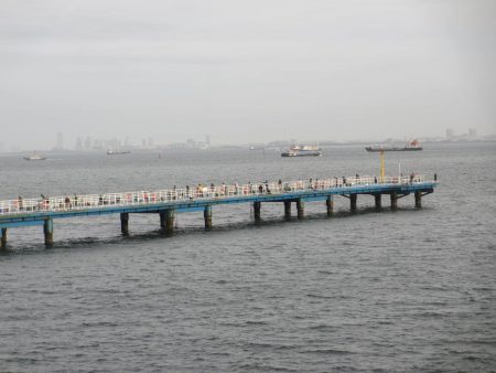 オリジナルメーカー海づり公園(市原市海づり施設) 釣果