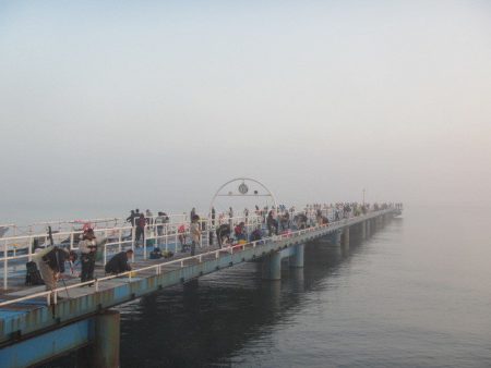 オリジナルメーカー海づり公園(市原市海づり…