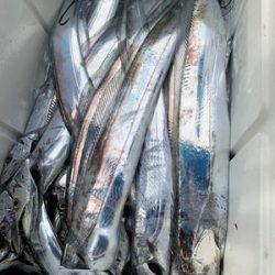 さんさん丸 釣果