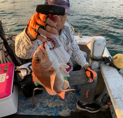 幸吉丸 釣果