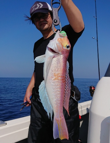 IDATEN(イダテン) 釣果