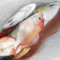 こうゆう丸 釣果