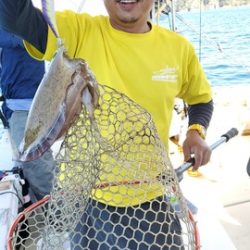 遊漁船 ニライカナイ 釣果