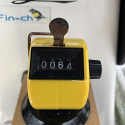 Magic(マジック) 釣果