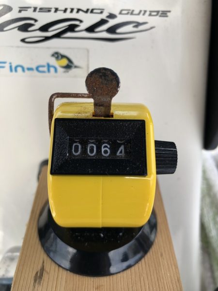 Magic(マジック) 釣果