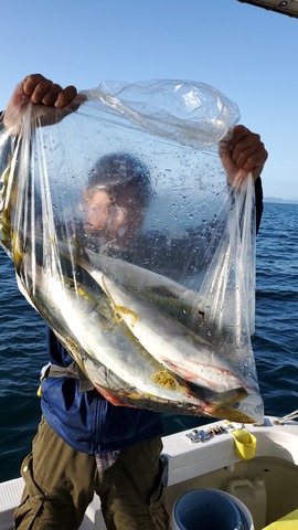 遊漁船 ニライカナイ 釣果