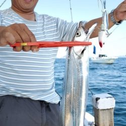 遊漁船　ニライカナイ 釣果