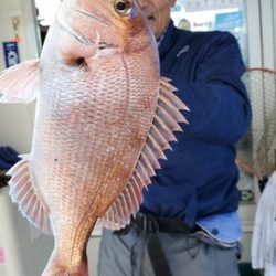 遊漁船 ニライカナイ 釣果