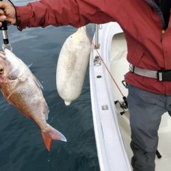 遊漁船 ニライカナイ 釣果