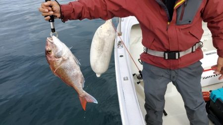 遊漁船 ニライカナイ 釣果