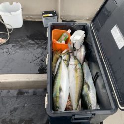 第八大安丸 釣果