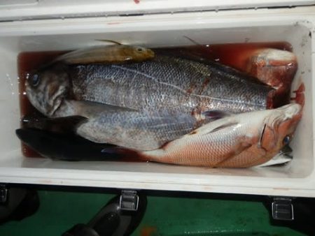 第二むつ漁丸 釣果