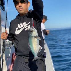 へいみつ丸 釣果