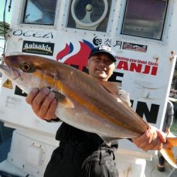 ファイヤードルフィン 釣果