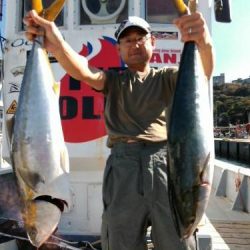 ファイヤードルフィン 釣果