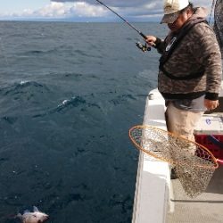 IDATEN(イダテン) 釣果