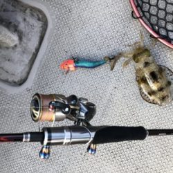 白墨丸 釣果