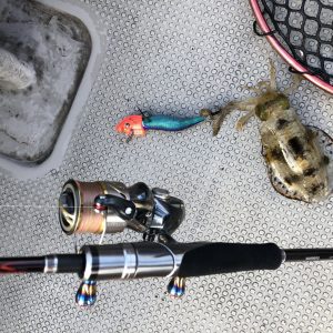 白墨丸 釣果
