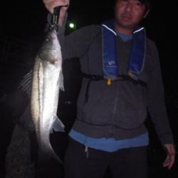 シーマジカル 釣果