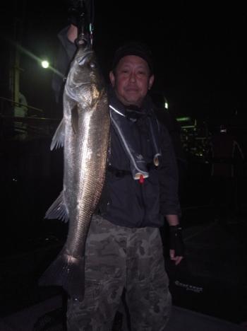 シーマジカル 釣果