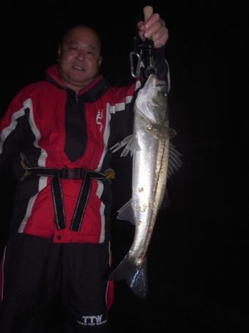 シーマジカル 釣果