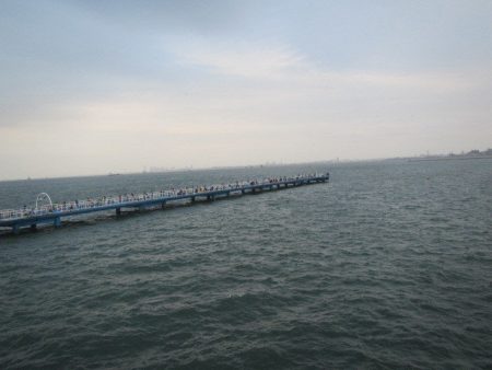 オリジナルメーカー海づり公園(市原市海づり施設) 釣果