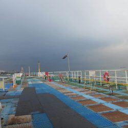 オリジナルメーカー海づり公園(市原市海づり施設) 釣果