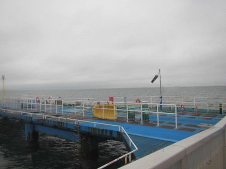 オリジナルメーカー海づり公園(市原市海づり施設) 釣果