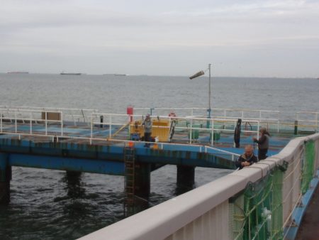 オリジナルメーカー海づり公園(市原市海づり…