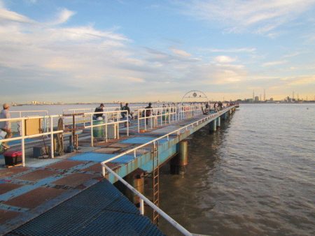 オリジナルメーカー海づり公園(市原市海づり施設) 釣果