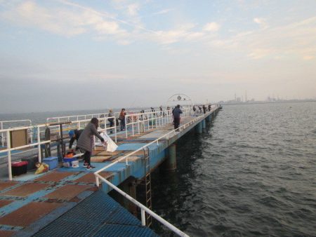 オリジナルメーカー海づり公園(市原市海づり…