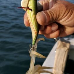 遊漁船 ニライカナイ 釣果