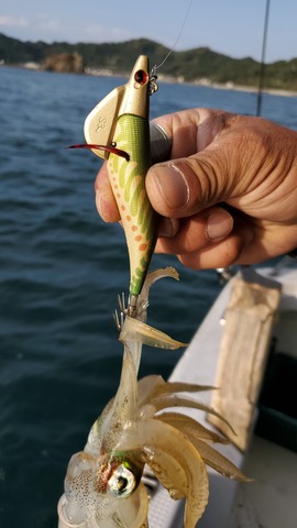 遊漁船 ニライカナイ 釣果
