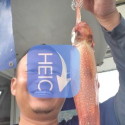 遊漁船 ニライカナイ 釣果