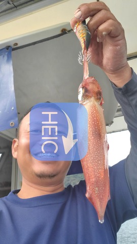 遊漁船 ニライカナイ 釣果