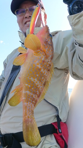 IDATEN(イダテン) 釣果