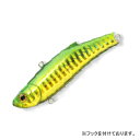 アマテラス 釣果