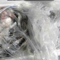 遊漁船 セトマリン 釣果