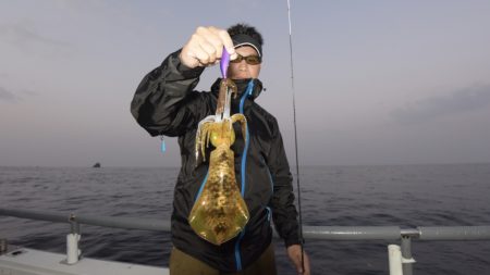 まるいち丸 ZERO-1 釣果