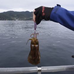 まるいち丸 ZERO-1 釣果