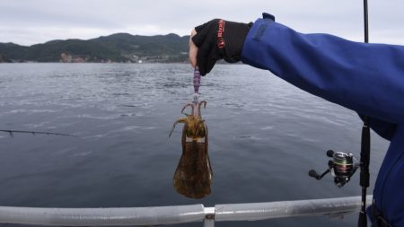 まるいち丸 ZERO-1 釣果