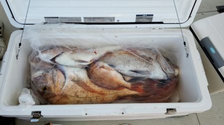 遊漁船 ニライカナイ 釣果